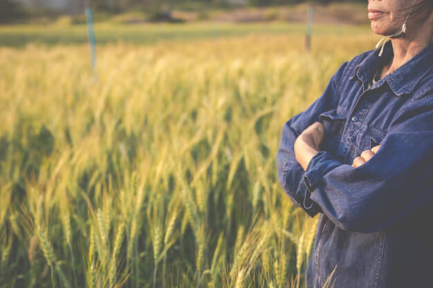 ประกันชีวิต ธกส ปีละ 2000