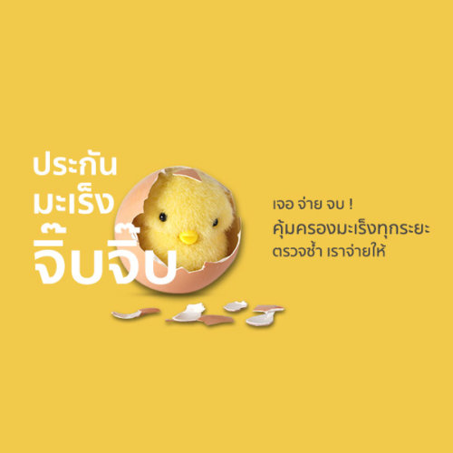 ประกันมะเร็ง