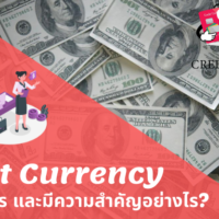 fiat currency คือ