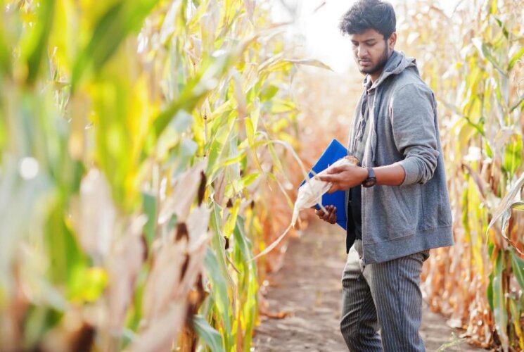 กองทุน อินเดีย